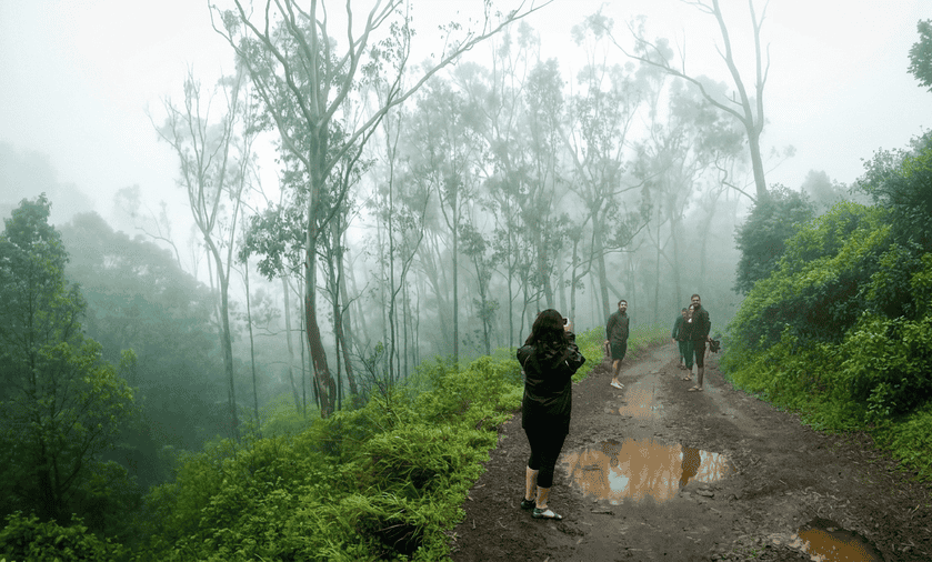 19 Best Places to Visit in December 2026: A group of hikers on a misty dirt path surrounded by lush green forests in Kemmangundi, Karnataka.