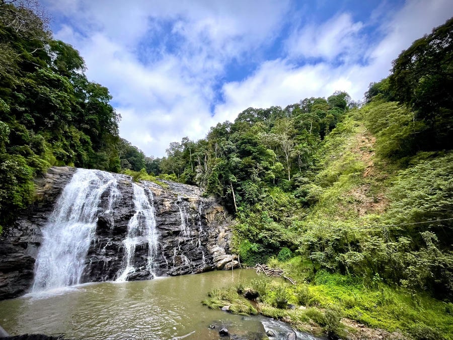 A majestic waterfall cascading down rocky cliffs surrounded by lush green forests, showcasing the 21 best places to visit in South India.