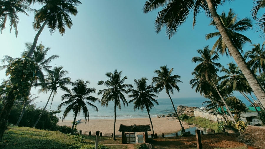 A tropical view of palm trees framing the sandy shoreline and ocean at Kovalam, featured in our guide to the 21 best places to visit in south.
