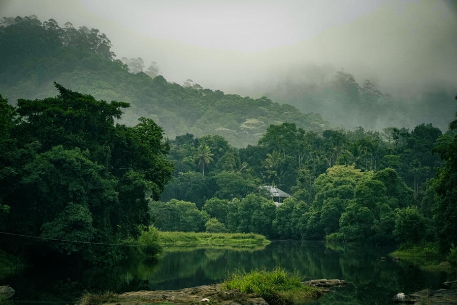 A misty morning view of a calm river reflecting dense tropical forests in Thekkady, featured in our guide to the 21 best places to visit in south.