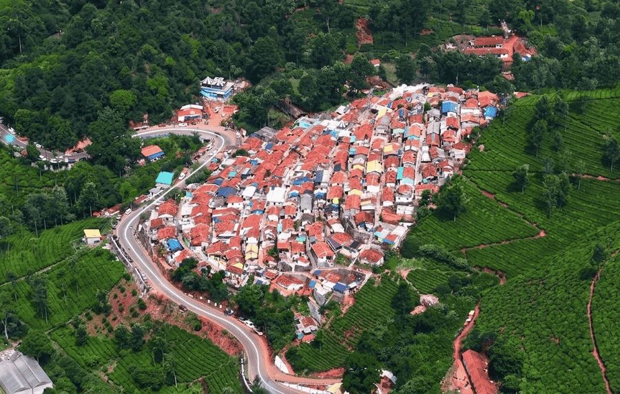 Panoramic top view of terraced tea gardens and village settlement in the Nilgiri hills of Ooty, showcasing one of the top hill stations among the best places to visit in South India.