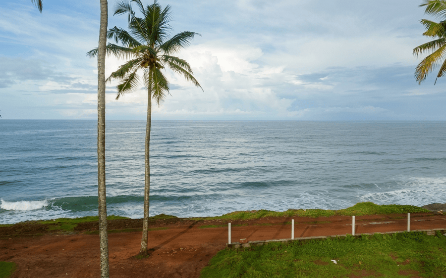 Panoramic view of the red laterite cliff pathway in Varkala framed by tall coconut trees looking over the crashing waves of the Arabian Sea, featured as one of the best places to visit in South India.