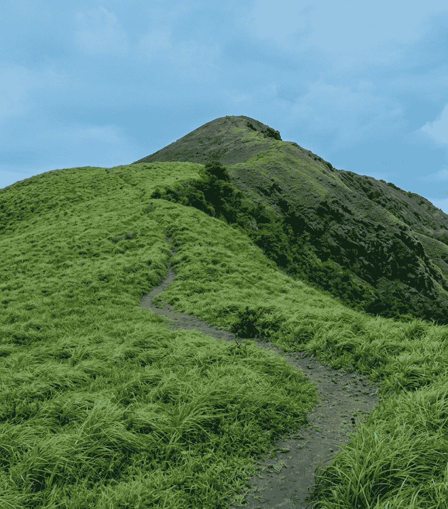 A narrow dirt trail winding up the vibrant green grass-covered slopes towards the misty peak of Brahmagiri Hills under a cloudy sky, featured as one of the 23 best places to visit in Coorg in 2026.