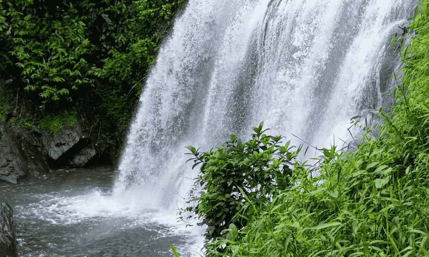 A close-up view of the powerful rushing waters of Chelavara Falls splashing into a pool below, surrounded by vibrant green vegetation, featured as one of the 23 best places to visit in Coorg in 2026.