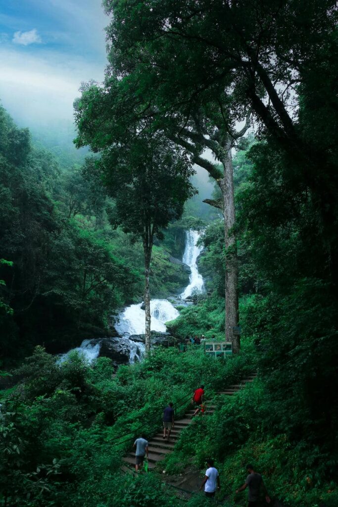 Tourists climbing stone stairs leading up to the cascading Iruppu Falls in a lush green forest, featured as one of the 23 best places to visit in Coorg in 2026.