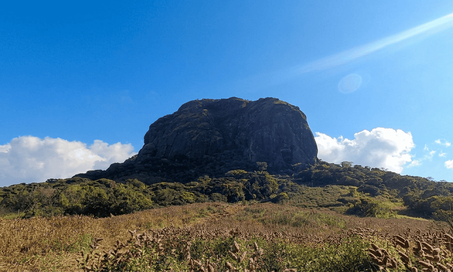 A high-resolution scenic view of Kotebetta Peak in Coorg, showing its unique dome-shaped rocky dome against a clear blue sky, surrounded by dense green forests and a foreground field of wild grasses, featured as one of the 23 best places to visit in 2026.