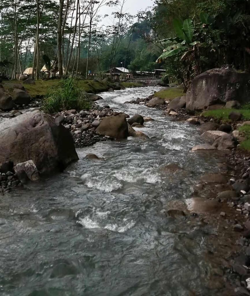 A high-resolution, vertically framed scenic view of the flowing Lakshmana Tirtha River in Coorg, as seen in inna-safa-BQihow5b9jc-unsplash.jpg. Clear water rushes over a rocky riverbed lined with large boulders, surrounded by lush green trees and tropical foliage under a cloudy sky, featured as one of the 23 best places to visit in 2026.