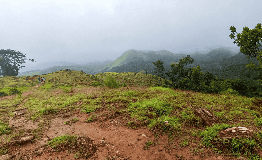 A high-resolution landscape photograph showing a rugged trekking trail on a grassy ridge in Pushpagiri Wildlife Sanctuary, Coorg. Mist covers the rolling, forested hills in the background, featured as one of the 23 best places to visit in 2026.