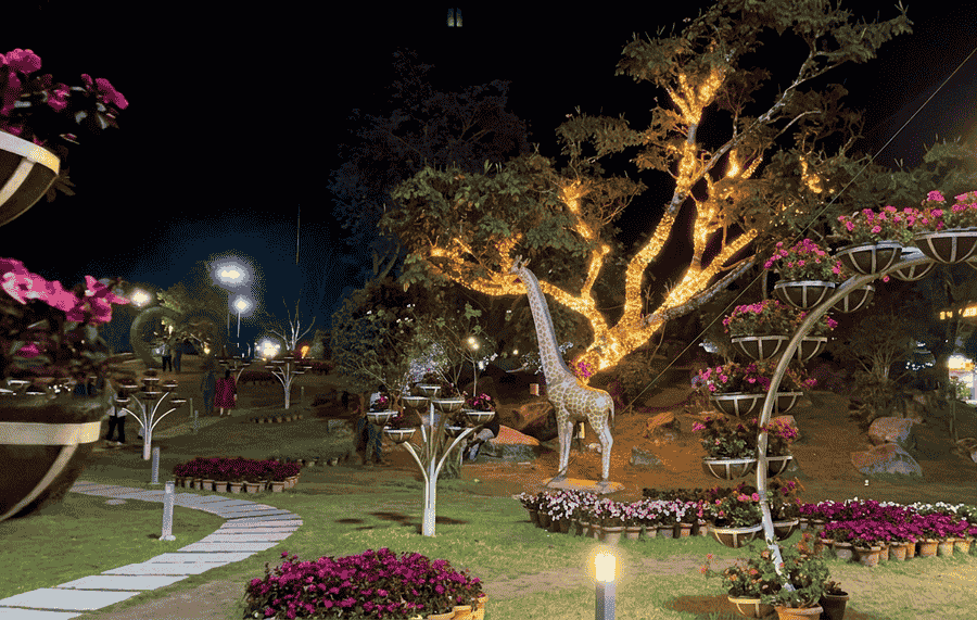Illuminated gardens with decorative light installations and flower displays at Blossom Hydel Park at night in Munnar.