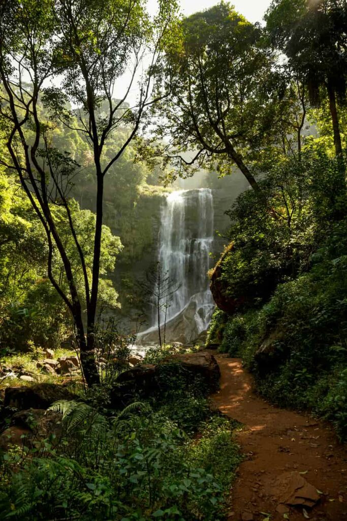 Forest trail leading to Hebbe Falls in Chikmagalur, one of the best hill stations in South India in rainy season 2026.
