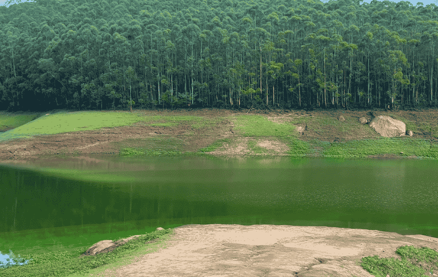 Tranquil lake and misty hills at Echo Point, one of the top places to visit and activities to do in Munnar.