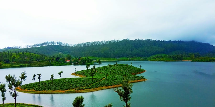 Green tea plantations surrounding serene reservoir waters in Valparai, showcasing hidden hill stations in South India 2026.