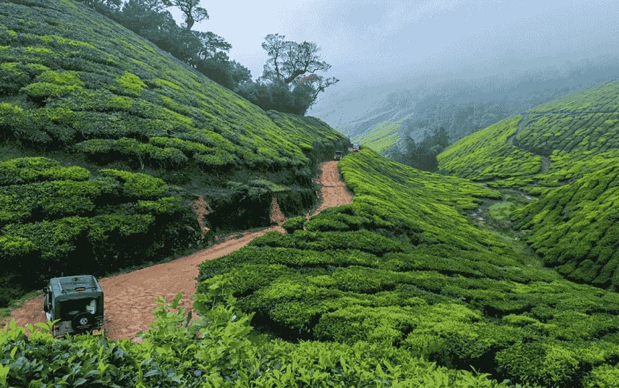  one of the best activities to do in Munnar, Off-road jeep safari through lush green tea plantations at Kolukkumalai Tea Estate.