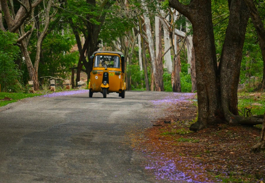 Yellow auto-rickshaw driving along a tree-lined road in Yercaud, one of the best hill stations in South India with family 2026.