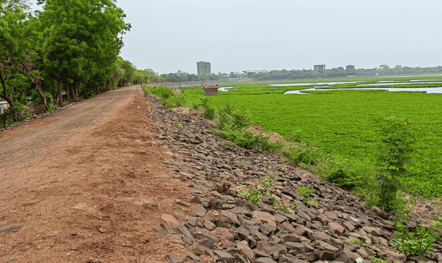 A serene natural view along the bank of Ambazari Lake and Garden, featured on our list of the 11 Best Things to Do in Nagpur.