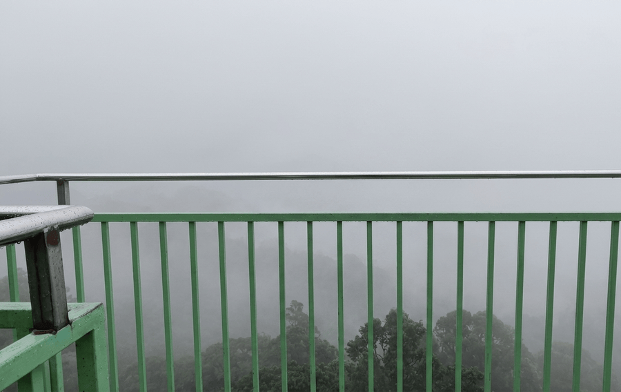 A viewpoint from the glass bridge or a platform at 900 Kandi, one of the best places to visit in Wayanad, showing the green railing overlooking the tree canopy and a misty mountain valley.