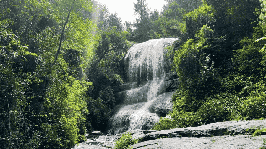 A scenic, high-quality photograph of Bear Shola Falls cascading down a rocky cliff, a serene natural spot and one of the Best Places to Visit in Kodaikanal. The waterfall is surrounded by lush green forest foliage and large boulders