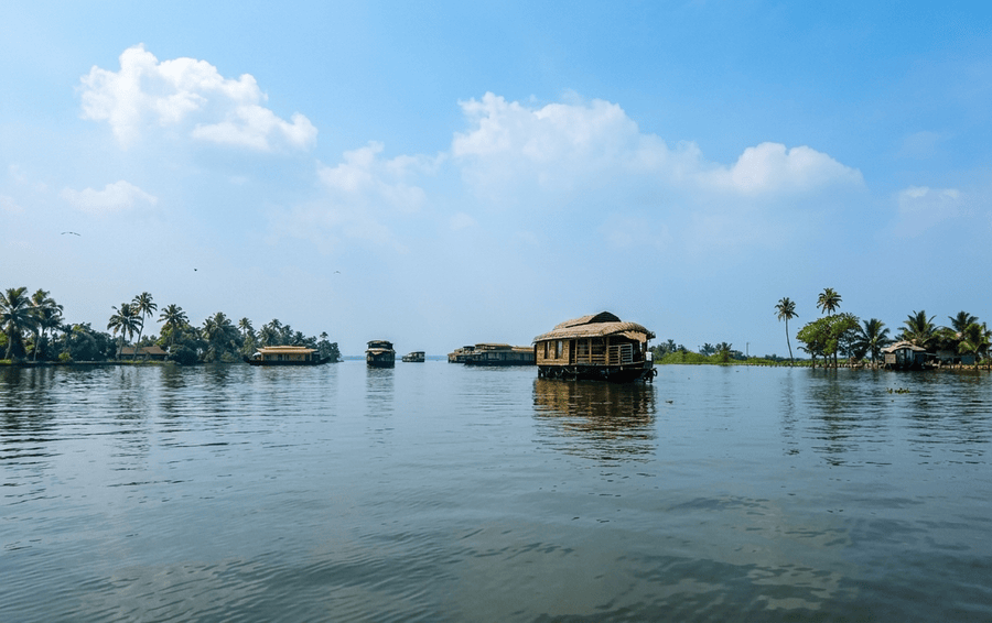 A wide landscape view of houseboats floating peacefully across the vast waters of Vembanad Lake, highlighted as one of the Best Places to Visit in Alleppey, Kerala