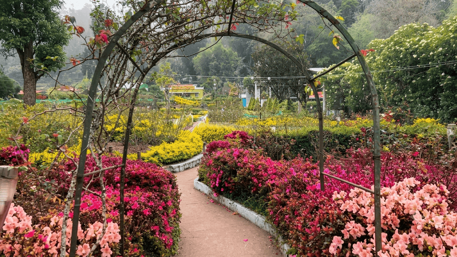 A vibrant garden path framed by a garden arch and colorful blooming flowers in Bryant Park, featured as one of the Best Places to Visit in Kodaikanal.