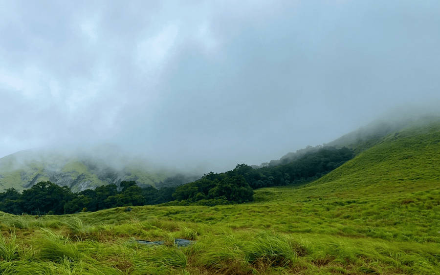 A stunning, high-quality photograph of Chembra Peak and its surrounding lush green rolling hills under a dramatic cloudy sky, making it one of the best places to visit in Wayanad for trekking and nature views.