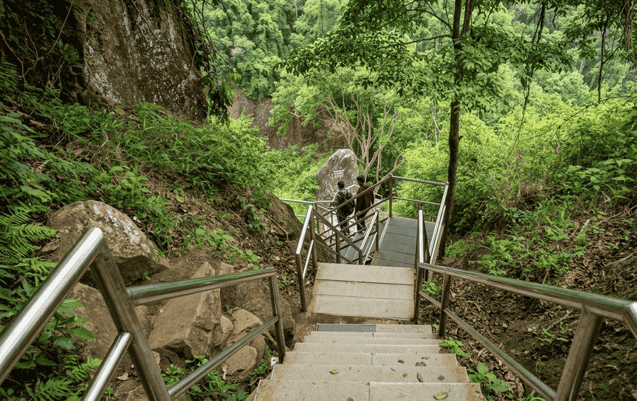 A scenic view of the metal staircase leading down through lush green forest towards Edakkal Caves, one of the best places to visit in Wayanad
