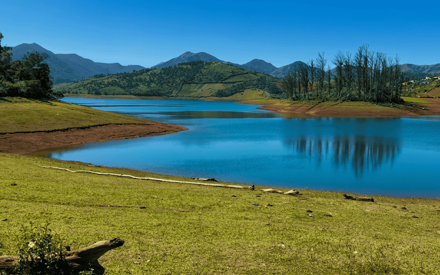 A stunning view of the deep blue Emerald Lake near Ooty, featuring a distinct grove of tall, bare trees on a red-earth point, a key destination on a complete Ooty itinerary. The landscape includes lush green grass slopes, distant mountains, and terraced fields under a clear sky.