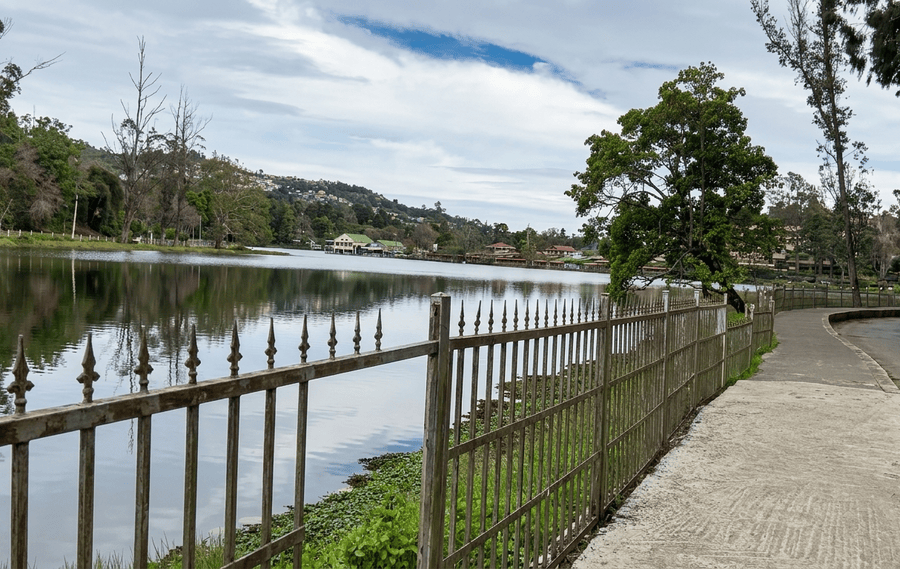 A serene view of Kodaikanal Lake along a lakeside walking path with decorative iron fencing, featured as one of the Best Places to Visit in Kodaikanal