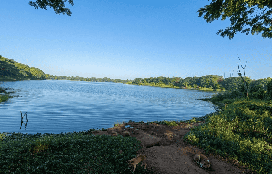 A panoramic view across the peaceful waters of Kukkarahalli Lake in Mysore, featured among the top 19 best places to visit for its stunning nature walks and clear blue skies.