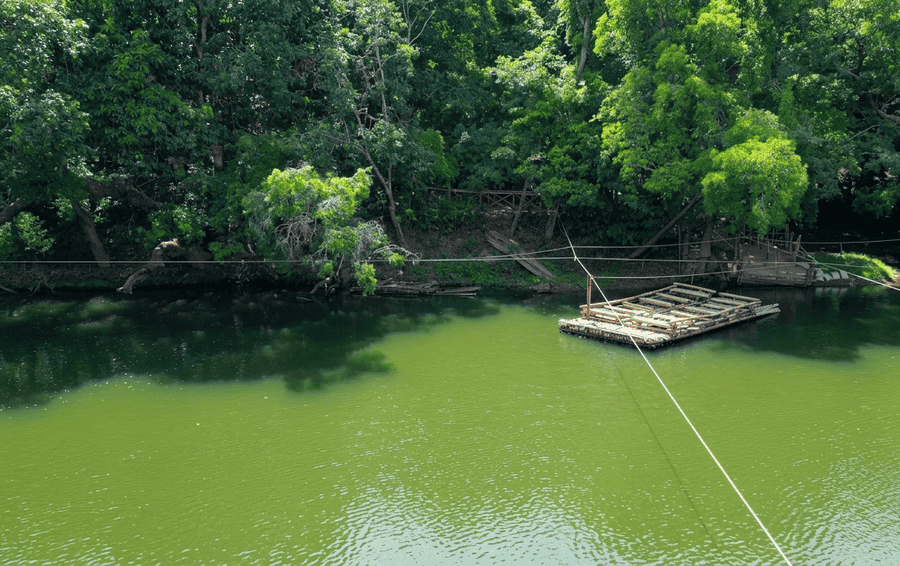 A scenic view of the lush, uninhabited river delta of Kuruva Island (Kuruvadweep), featuring its iconic bamboo rafts on the Kabini River, making it one of the Best Places to Visit in Wayanad for nature and adventure.