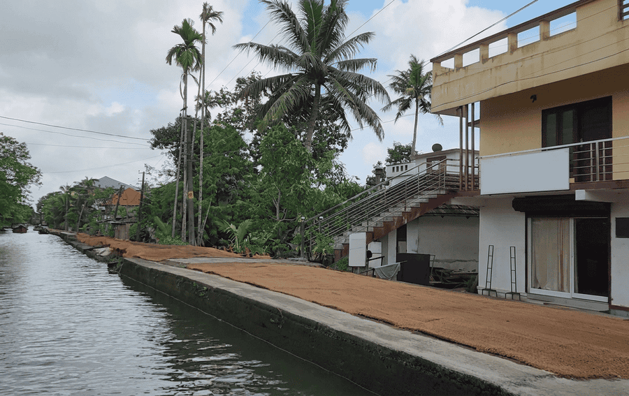 A view of a peaceful backwater canal in Kuttanad, featuring a local building and palm trees, listed as one of the Best Places to Visit in Alleppey.