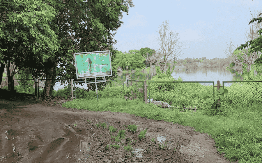 A quiet mud trail leading past a green fence toward the peaceful waters of Lingambudhi Lake, featured among the top 19 best places to visit in Mysore.
