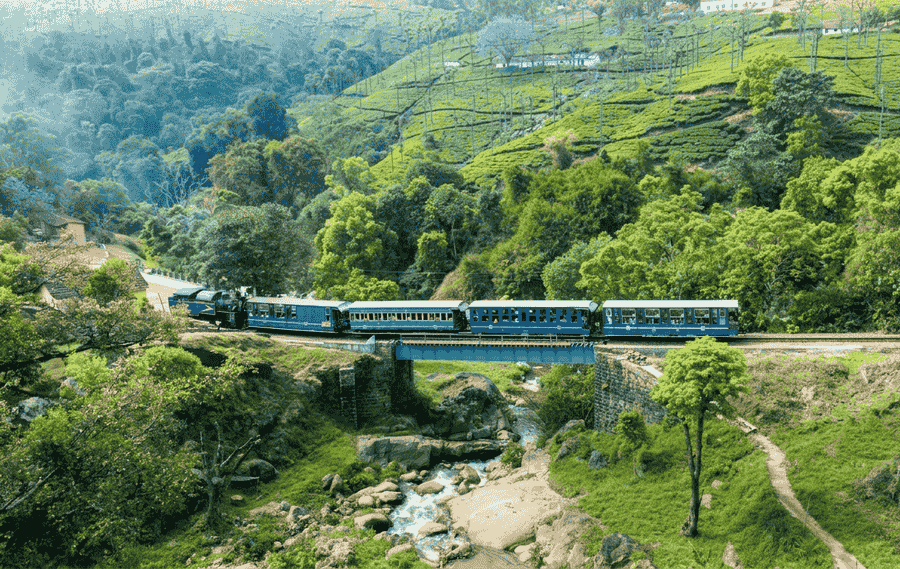 A panoramic view of the blue Nilgiri Mountain Railway toy train crossing a bridge, a key highlight on any Ooty itinerary, with tea gardens in the background.