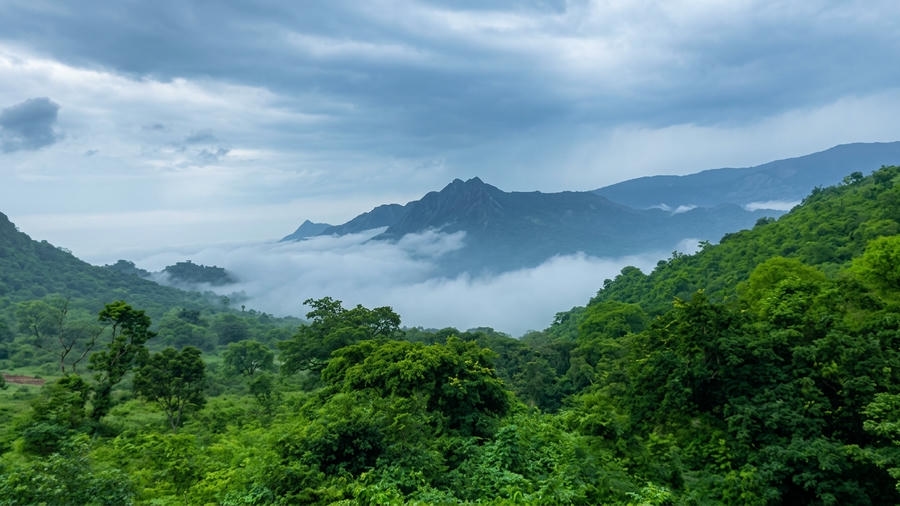 Panoramic landscape of mist rolling over the Eastern Ghats along the Araku Valley train route, cited as a top experience for best places to visit in Araku Valley.