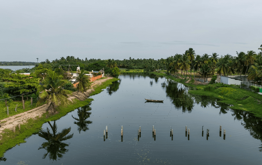 Exploring Arikamedu backwaters - best places to visit Pondicherry guide