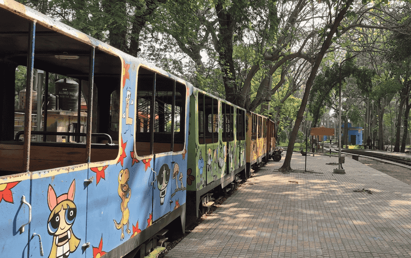 Toy train at Botanical Garden, a top choice among the best places to visit in Pondicherry