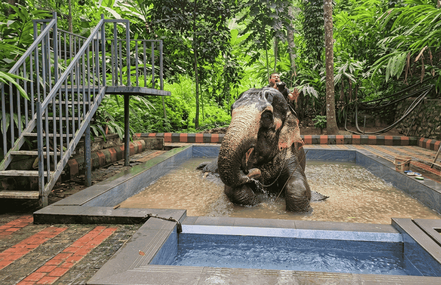Visitor splashing water while seated on an elephant during an elephant bath experience at Elephant Junction, showcasing one of the best places to visit in Thekkady.