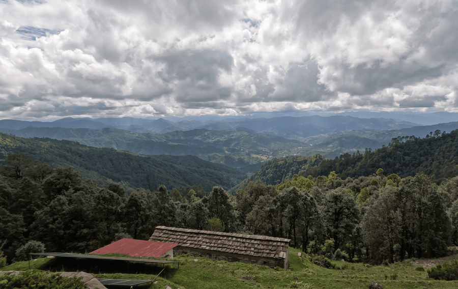 Binsar, one of the best places to visit in Uttarakhand
