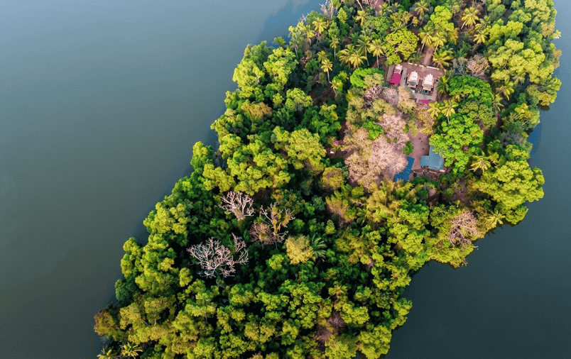 A high-definition aerial drone photograph of Ponnumthuruthu Island (Golden Island), a hidden gem and one of the best places to visit in Varkala for backwater tours.