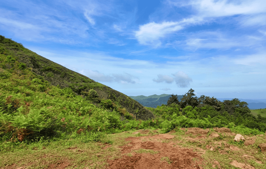 A panoramic view of rolling green hills, dense forests, and clear blue sky in Gavi, featured as one of the best places to visit in Thekkady for nature lovers.