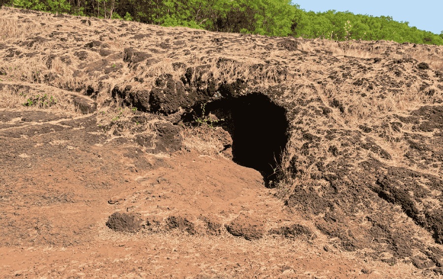 Scenic view of the Shiva Cave on a hillside near Gokarna - best places to visit Gokarna guide