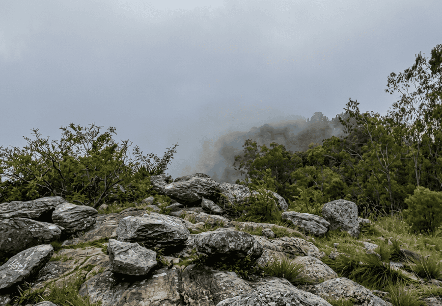 Tipperary Viewpoint, one of the best places to visit in Yercaud with rocky hills and lush greenery